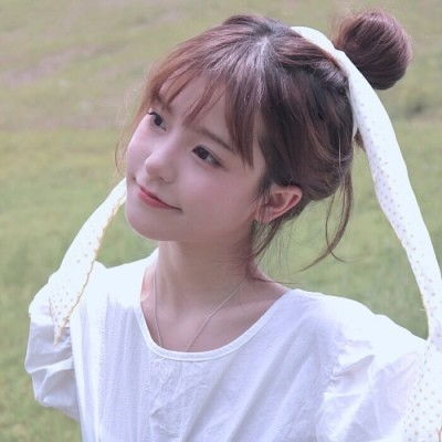 王沪宁参加河北代表团审议